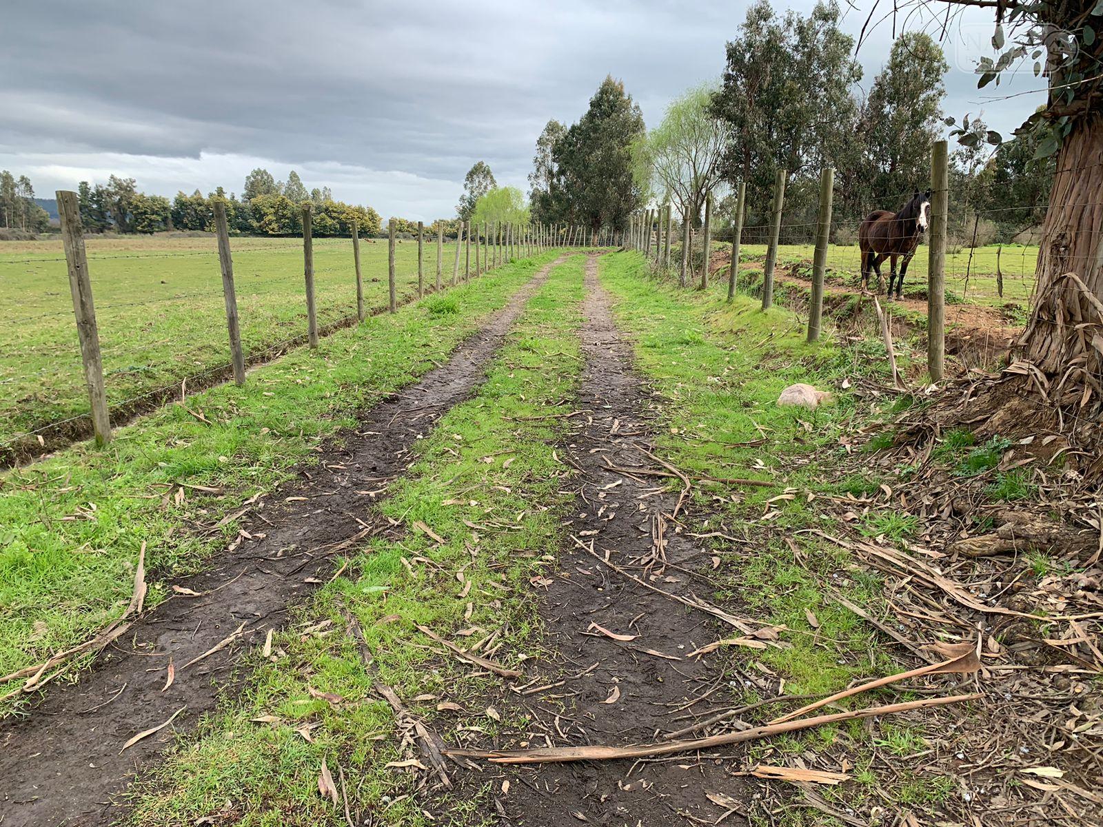 Se vende parcela agrícola 3,59 ha en la comuna de Pelarco