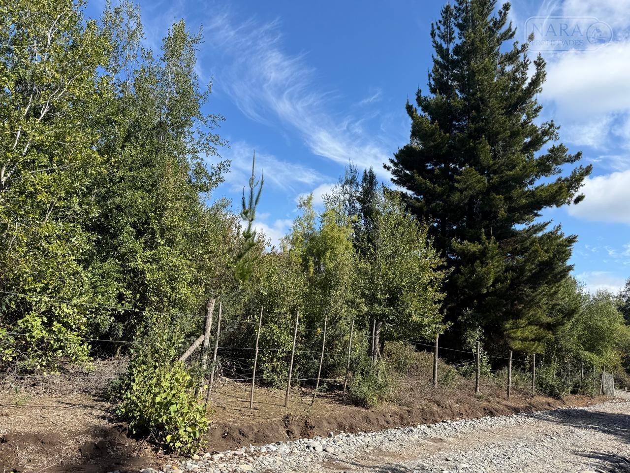 Se vende parcela de 5.000 m2 en Vilches Alto