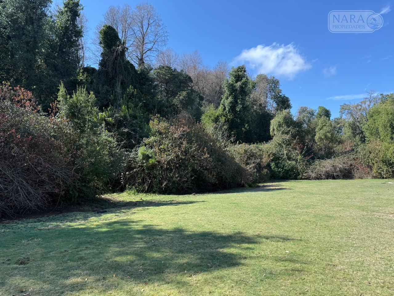 Se vende parcela de 5.000 m2 en Vilches Alto